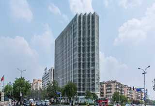 徐州酒精肝疾病动物模型建模